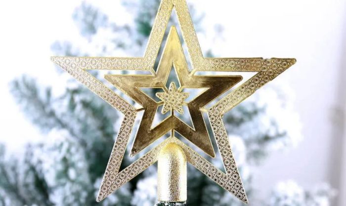 Hình ảnh ngôi sao Noel ngoài đời thật với vẻ sang trọng