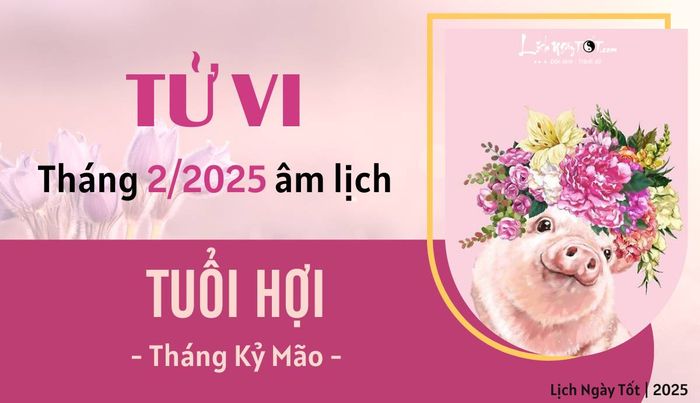 Tử vi tháng 2/2025 của tuổi Hợi theo âm lịch