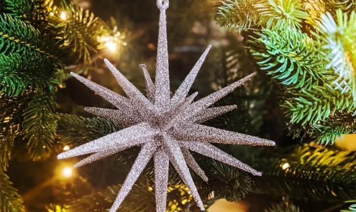 Hình ảnh ngôi sao Noel ngoài đời thật mang đến sự mới lạ, độc đáo