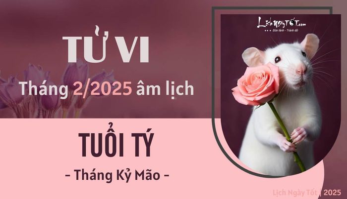 Tử vi tháng 2/2025 của tuổi Tý theo âm lịch