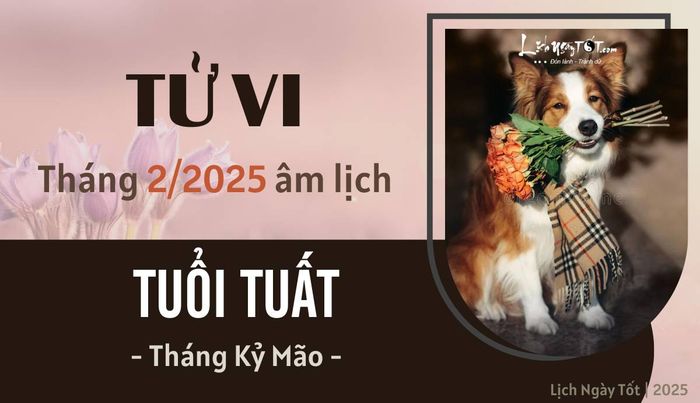 Tử vi tháng 2/2025 của tuổi Tuất theo âm lịch