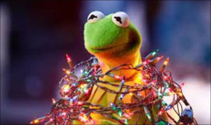 Meme Noel hình ếch xanh với đèn lấp lánh