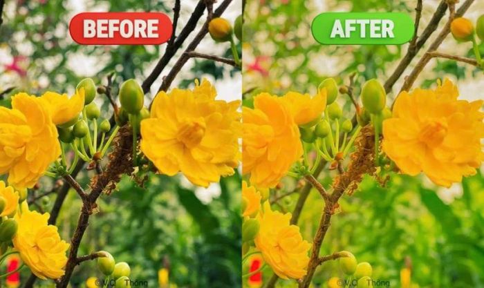 Công thức chỉnh màu Lightroom siêu hot mùa Tết 2025