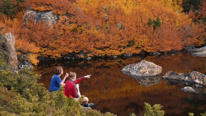 Australia's autumn weather - Experience the beauty of red leaves at Mount Field National Park.