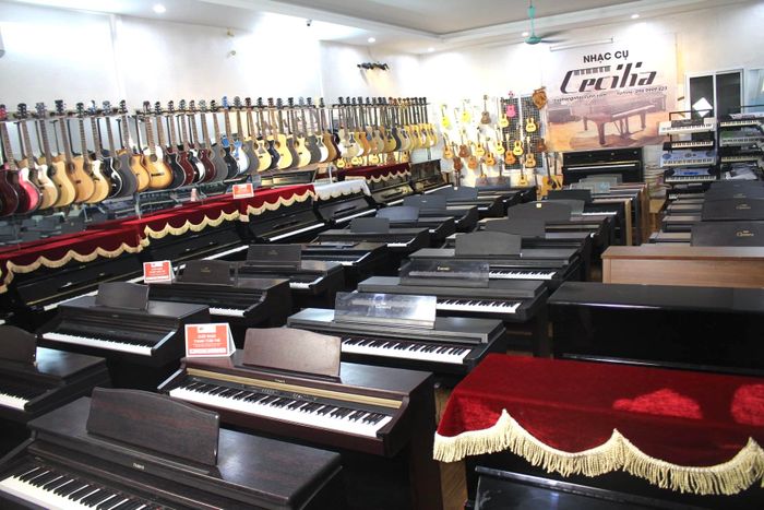Cecilia Affordable Musical Instruments Image 1