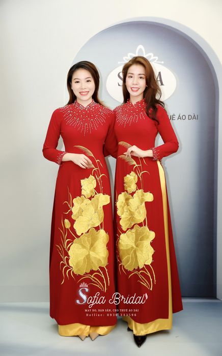Sofia Bridal Ao Dai Image 2