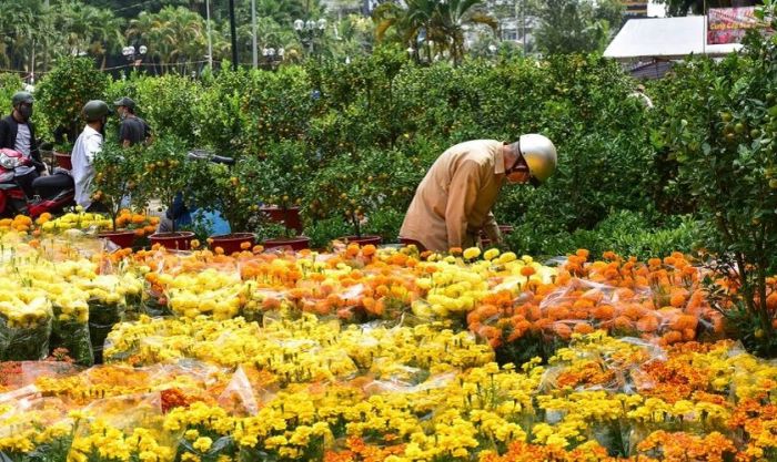 Chợ hoa và cây cảnh đặc trưng miền Nam trong ngày Tết