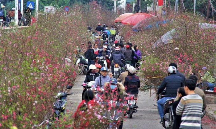 Những bức ảnh chợ Đào ngày Tết đặc trưng miền Bắc