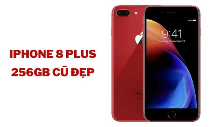 iPhone 8 Plus 256GB cũ đẹp
