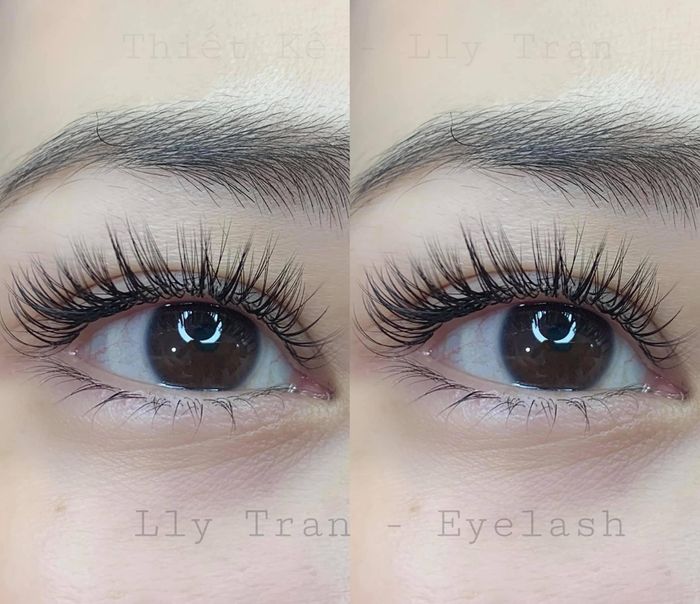 LLy Tran Eyelash Extensions Image 2