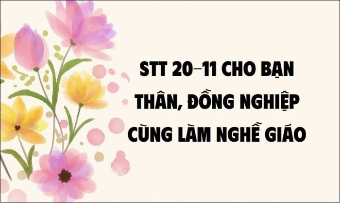 STT 20/11 dành tặng bạn thân, đồng nghiệp cùng làm nghề giáo