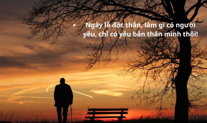 Cap ngày lễ độc thân hài hước