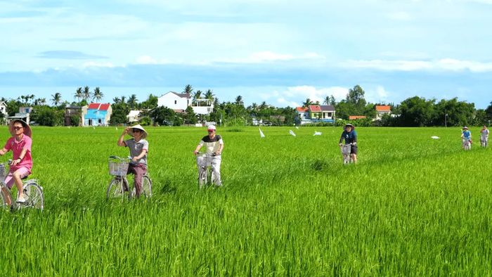 Đánh giá rừng dừa Bảy Mẫu Hội An: Kinh nghiệm tham quan và giá vé chi tiết năm 2025 21
