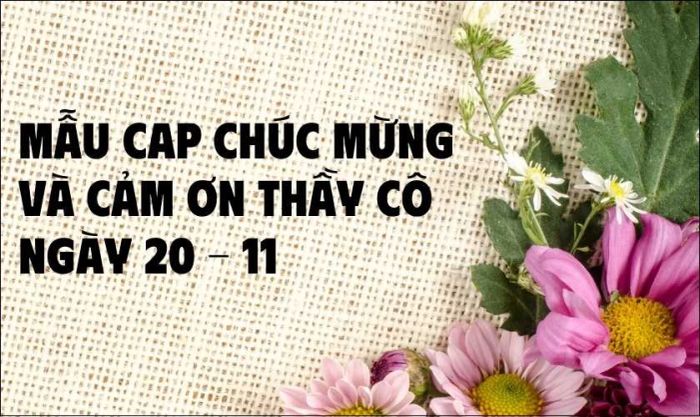 Những mẫu STT chúc mừng ngày 20/11 ngắn gọn và ý nghĩa