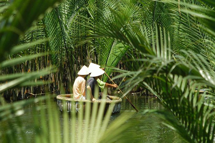 Đánh giá rừng dừa Bảy Mẫu Hội An: Kinh nghiệm tham quan và giá vé chi tiết năm 2025 11
