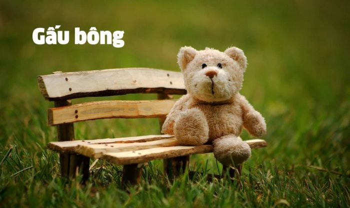 Quà tặng người yêu