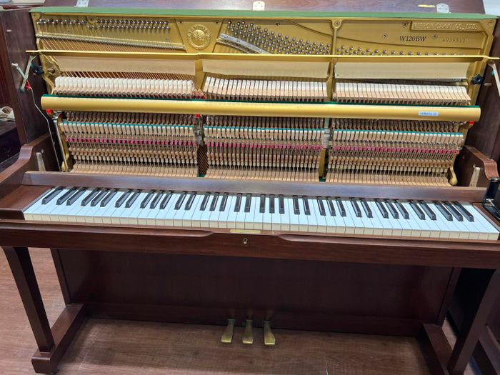 WORLD PIANO Image 2