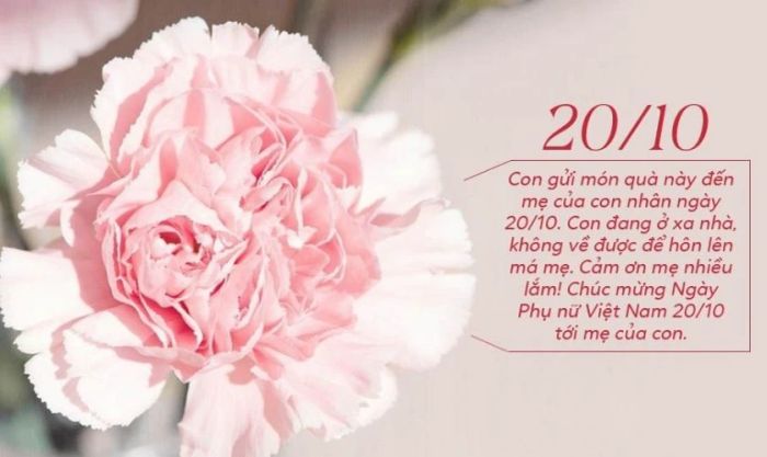 Mẫu thiệp hoa hồng lãng mạn dành tặng mẹ