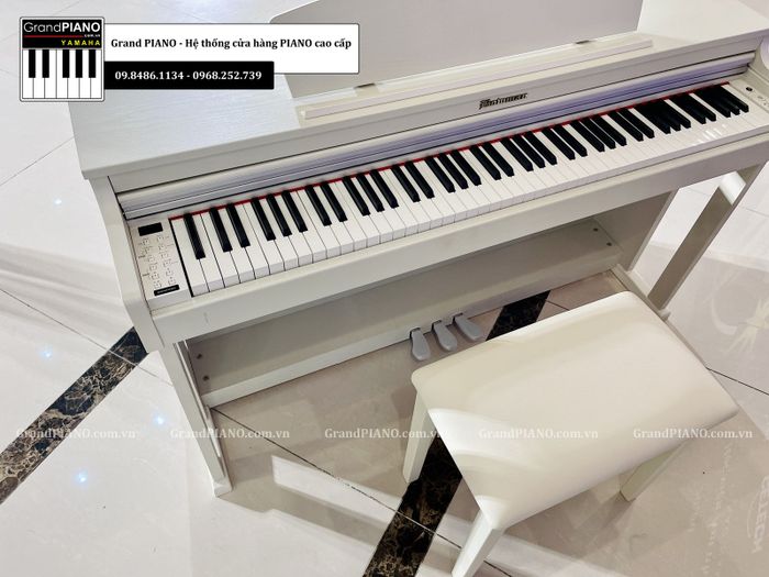 Grand PIANO Image 2