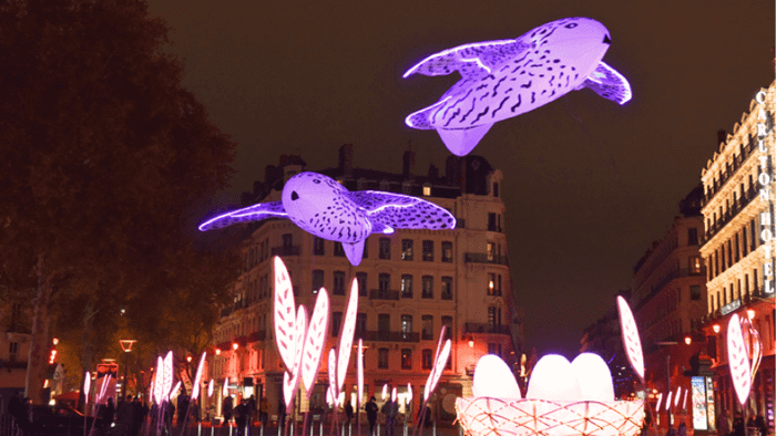 The Dazzling Festival of Lights in France