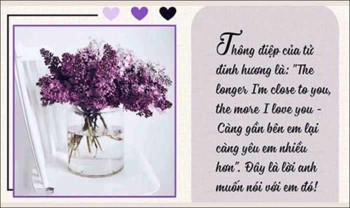 Những lời chúc chứa đựng tình yêu nồng nàn và sâu sắc