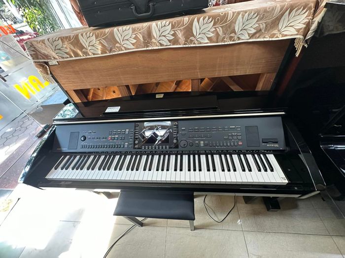 Tu Lan Musical Instruments Image 2