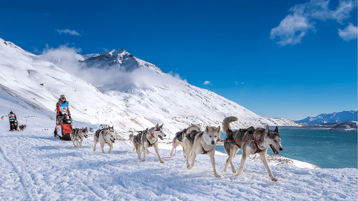 The La Grande Odyssée Savoie Mont Blanc festival is a thrilling event that showcases the natural beauty and adventure of the Savoie Mont Blanc region.