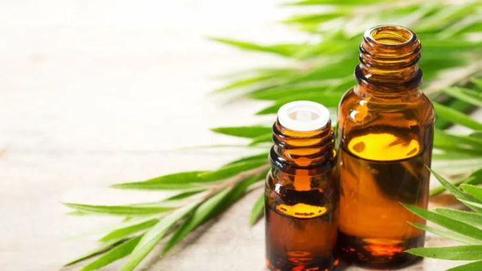 Australian tea tree oil offers a wide range of benefits
