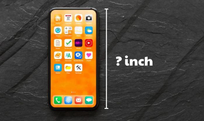 Kích thước màn hình và thiết kế điện thoại phù hợp cho học sinh lớp 6