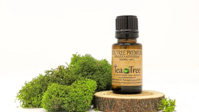 Popular Australian souvenirs loved by many