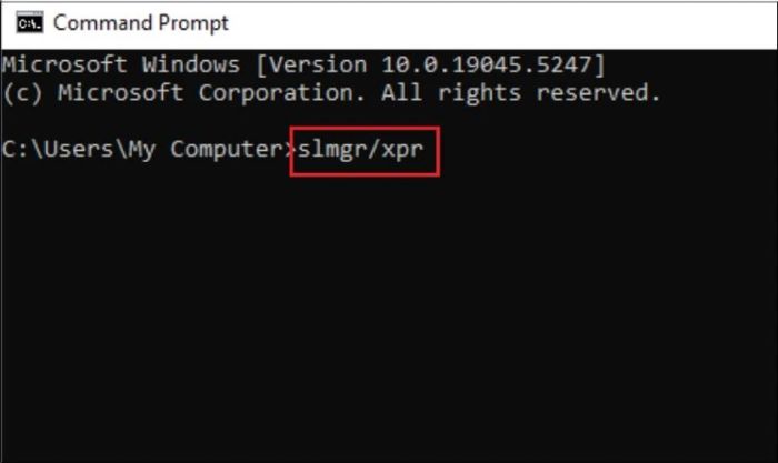 Cách kiểm tra Win 11 đã kích hoạt chưa - Nhập lệnh và nhấn Enter
