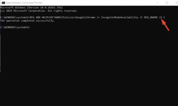 Sử dụng lệnh trong Command Prompt và khởi động lại trình duyệt