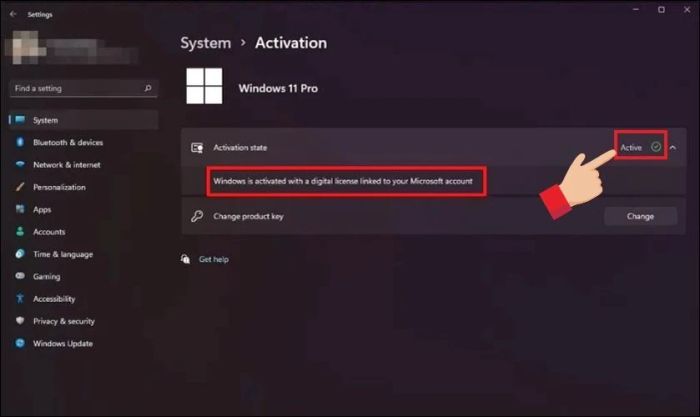 Kiểm tra trạng thái kích hoạt tại mục Activation state