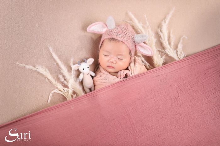 SURI STUDIO Photo 1