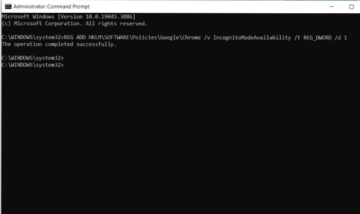 Truy cập cửa sổ Command Prompt để vô hiệu hóa chế độ ẩn danh