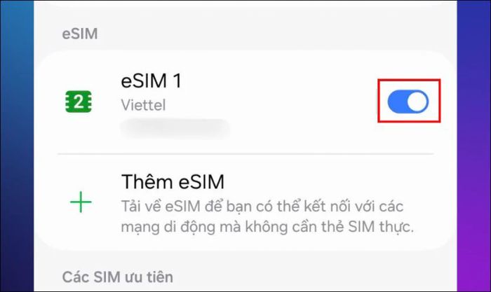 Chọn eSIM bạn muốn dùng khi du lịch và bật thanh gạt sang phải để kích hoạt eSIM