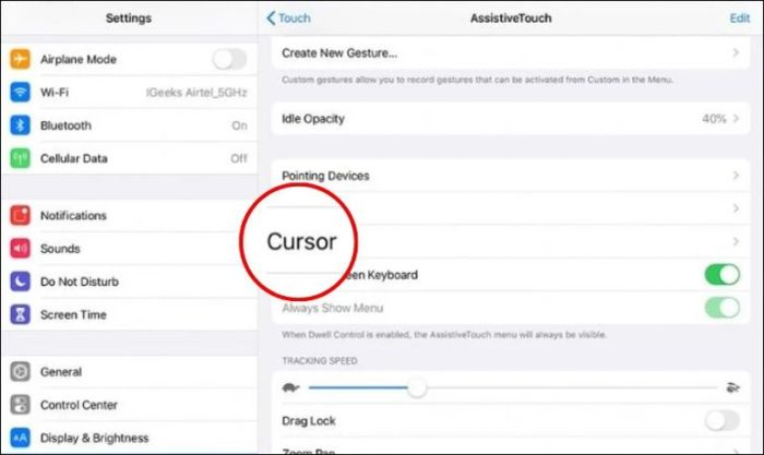 Chọn Cursor trong mục AssistiveTouch