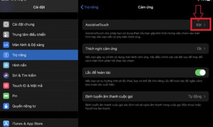 Kích hoạt Assistive Touch