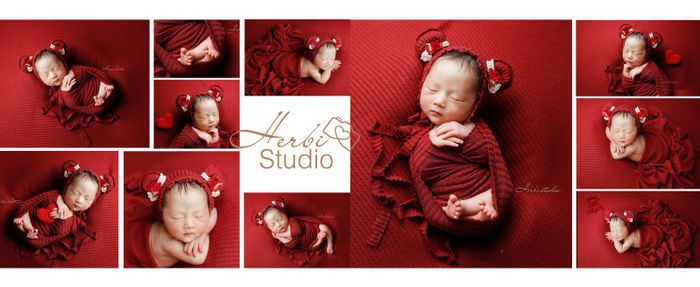 Herbi - Photography Studio for Children Picture 2