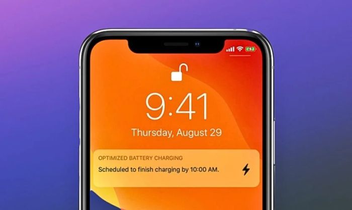 Một trong những cách sạc pin iPhone đúng cách khi mới mua là tối ưu hóa việc sạc pin từ iOS 13 trở lên