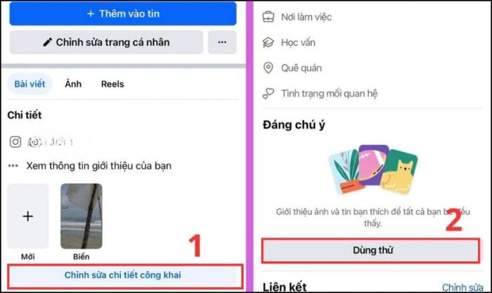 Chọn vào mục Chỉnh sửa chi tiết công khai, rồi nhấn vào Dùng thử ở mục Đáng chú ý để tiếp tục