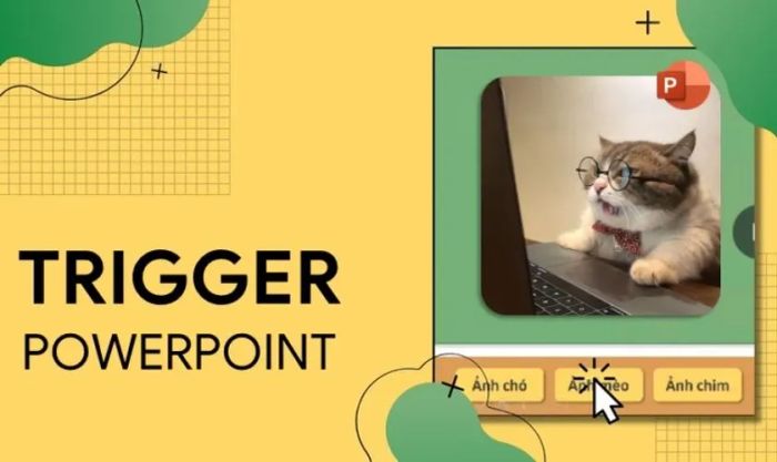 Tăng cường tương tác và sự hấp dẫn cho bài thuyết trình PowerPoint với Trigger