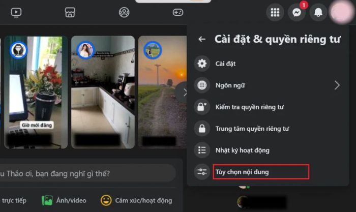 Truy cập vào phần Tùy chọn nội dung
