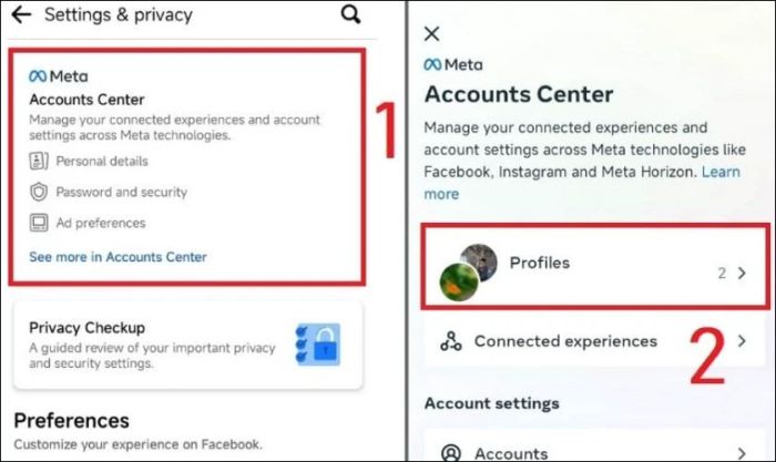 Trong phần Meta, chọn Profiles và lựa chọn tài khoản Facebook mà bạn muốn chỉnh sửa
