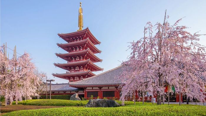 Key Details to Know Before Traveling to Tokyo