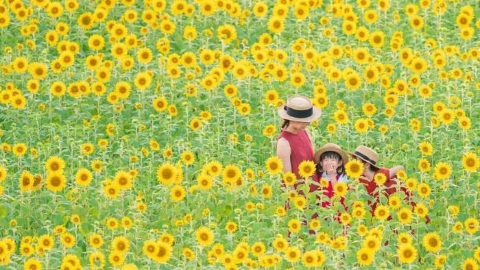 Exploring Tokyo during the vibrant summer season