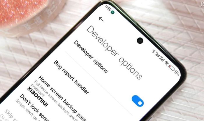 Kích hoạt tùy chọn nhà phát triển trên Xiaomi có nghĩa là gì?