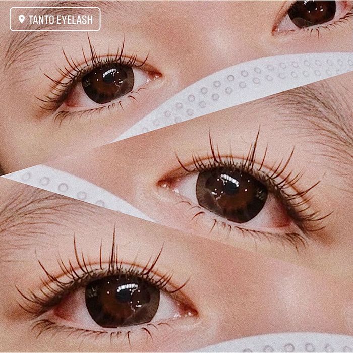 TanTo Eyelash Image 1