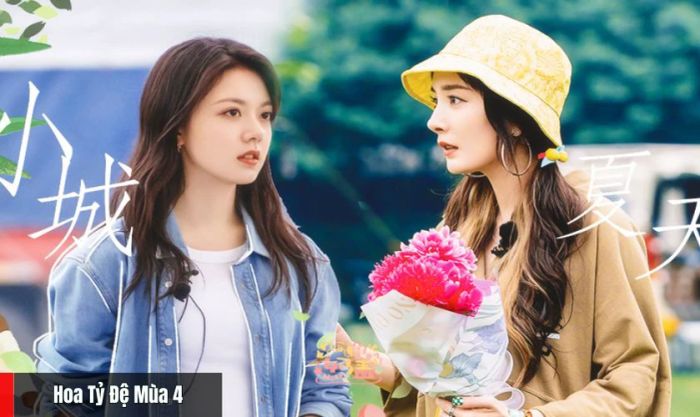 Hoa Tỷ Đệ Mùa 4 - Chương trình truyền hình thực tế nổi tiếng với sự xuất hiện của Triệu Kim Mạch