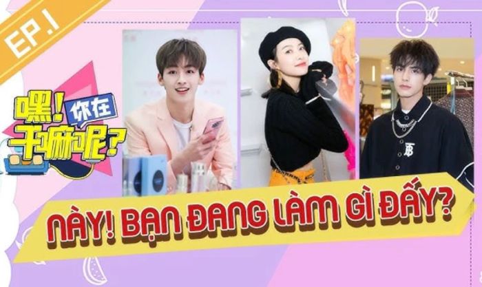 Hey! Bạn Đang Làm Gì Đấy - Chương trình thực tế có sự tham gia của Tống Uy Long